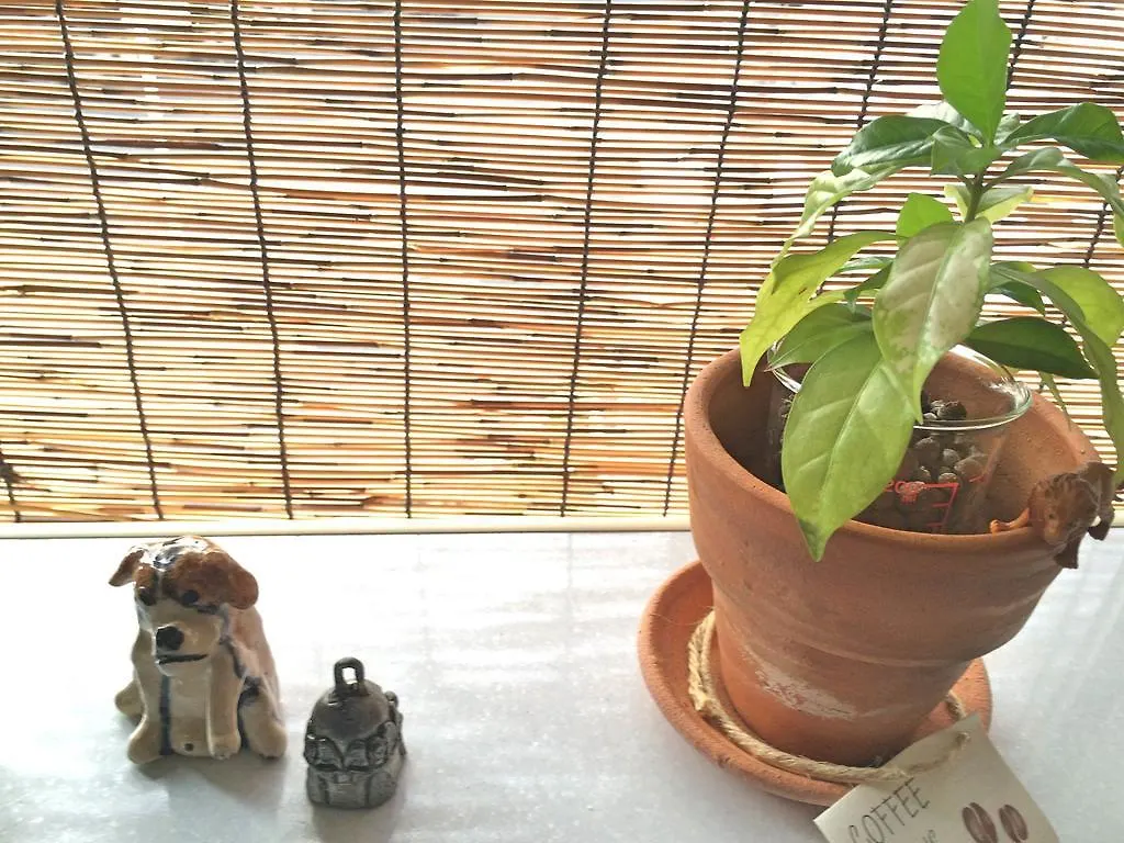Guesthouse Oasis Oszaka Vendégház